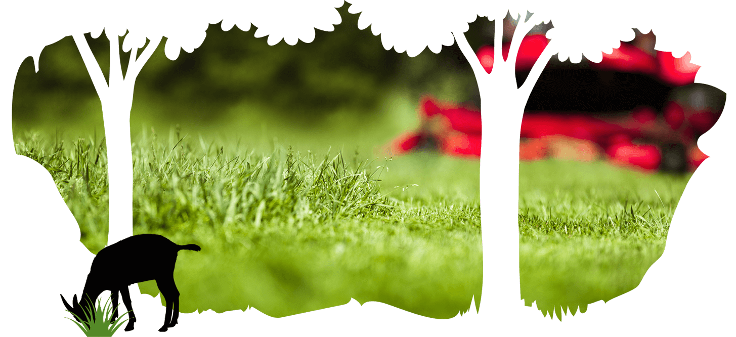Lawn + Garden Maintenance