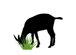 Lawn + Garden Maintenance