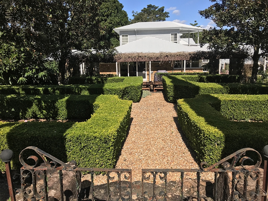 Box Hedges
