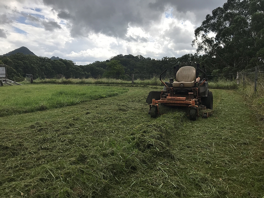Mowing