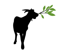 Tree Pruning + Hedging